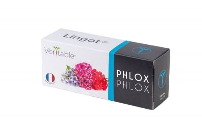 Семена ядлив флокс, Lingot® Phlox, VERITABLE Франция