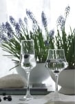 Стъклени чаши за бяло вино 260 мл CARMEN, 6 броя