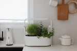 Домашна градина за билки и подправки GIARDINO, бял цвят, UMBRA Канада
