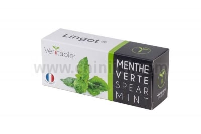 Семена сладка мента, Lingot® Spearmint, VERITABLE Франция