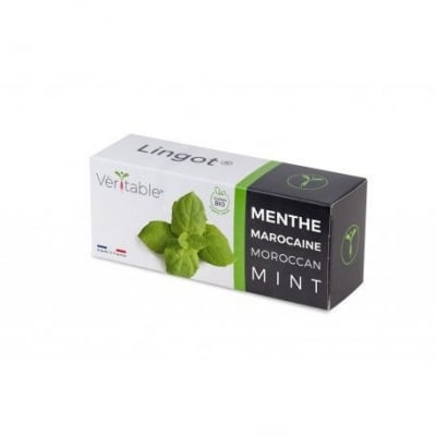 Семена Мароканска Мента, Lingot® Maroccan Mint, VERITABLE Франция