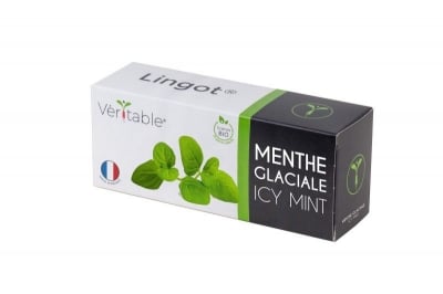 Семена ледена мента, Lingot® Icy Mint Organic, VERITABLE Франция