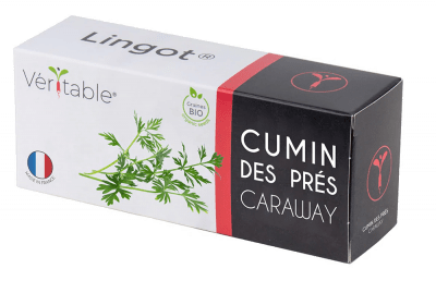 Семена кимион, Lingot® Cumin, VERITABLE Франция