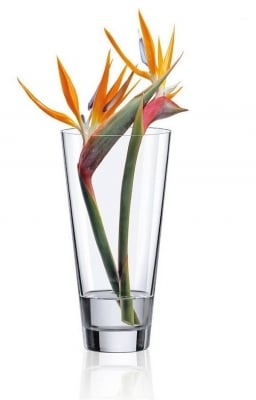 AMBIENTE стъклена ваза за цветя 25 см, Rona Словакия