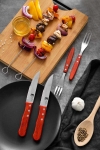 Комплект 4 ножа за стек BBQ, Bergner Австрия