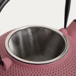 чайник с цедка Homla