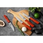 Комплект 4 ножа за стек BBQ, Bergner Австрия