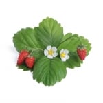 Семена червени диви ягоди, Lingot® Wild Red Strawberry, VERITABLE Франция