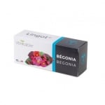 Семена ядлива бегония, Lingot® Begonia, VERITABLE Франция