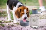 Бутилка за вода 1.5 литра с купичка за куче DOG BOWL, син цвят, ASOBU Канада