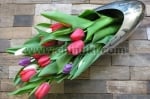 Дизайнерска продълговата ваза за цветя COCOON, Philippi Германия