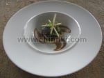 Порцеланова чиния за паста и ризото 28 см - 6 броя COMPLIMENTS, BAUSCHER Германия