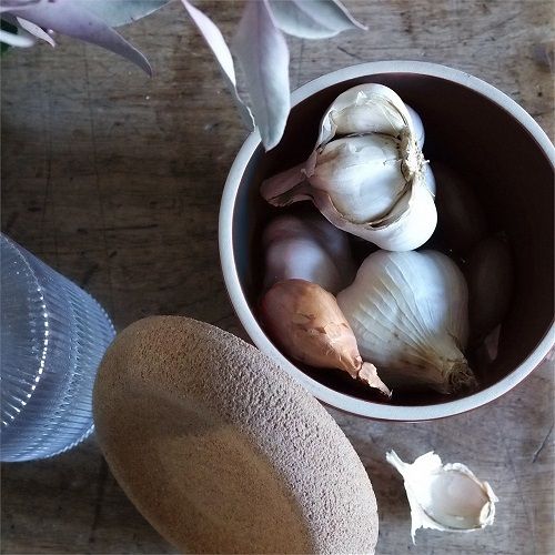 Керамичен канистер за чесън с корков капак 14.5 см, GARLIC POT, бял цвят, EMILE HENRY Франция